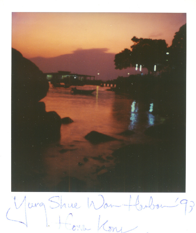 RICHARD MARK DOBSON 90's SX70's 