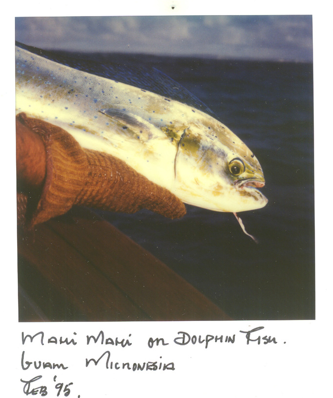 RICHARD MARK DOBSON 90's SX70's 
