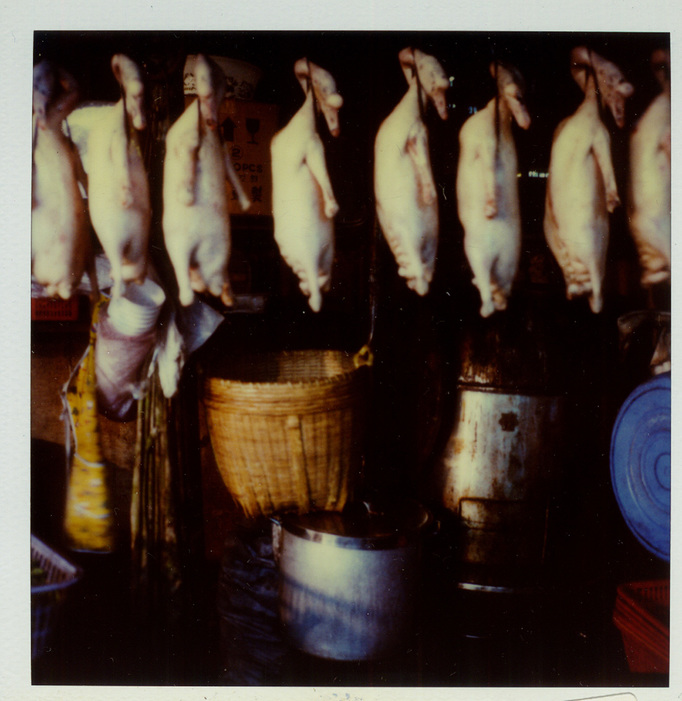 RICHARD MARK DOBSON 90's SX70's 