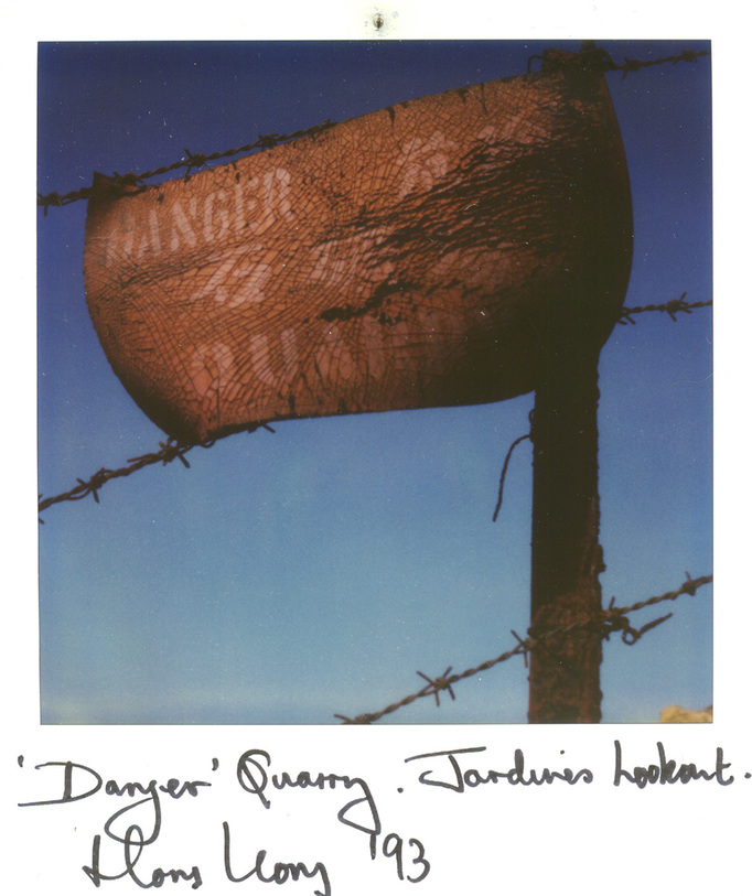 RICHARD MARK DOBSON 90's SX70's 