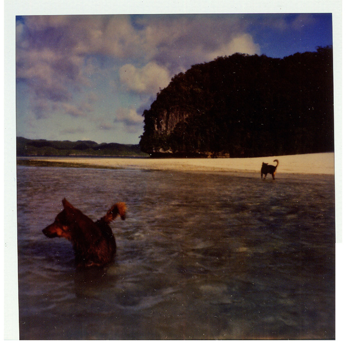 RICHARD MARK DOBSON 90's SX70's 