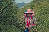  Vietnam Contemporary Pigment Ink on Hahenmuhle Photo Silk Baryta 310gsm