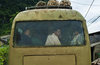  Vietnam Contemporary Pigment Ink on Hahenmuhle Photo Silk Baryta 310gsm
