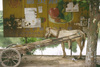  China Chromes 1990's 