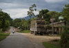  Vietnam Contemporary 