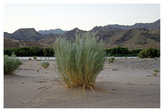 RICHARD MARK DOBSON Borderline - GEO Magazine Pigment Ink on Hahenmuhle Photo Silk Baryta 310gsm