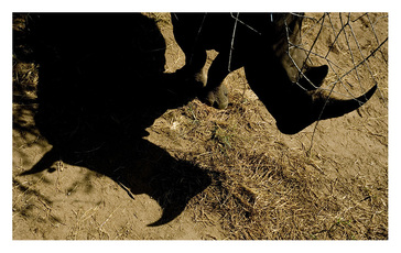 RICHARD MARK DOBSON Borderline - GEO Magazine 