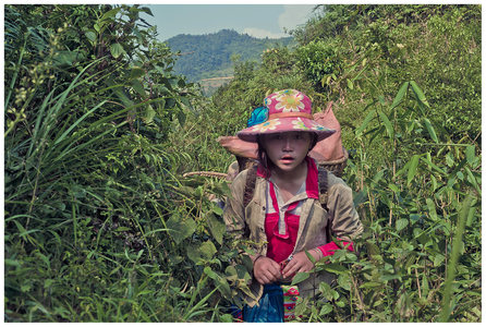 RICHARD MARK DOBSON Vietnam Contemporary 