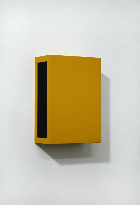Richard Roth Paintings  2006 - 2011 Flashe on Birch Plywood