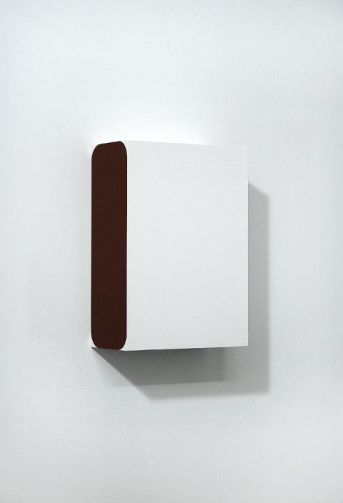 Richard Roth Paintings  2006 - 2011 Flashe on Birch plywood