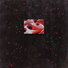  Past work archives-original Ink on aluminum panel, with attached digital image on aluminum