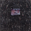  Past work archives-original Ink on aluminum panel, with attached digital image on aluminum