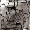  Past work archives-original Ink on Yupo Paper