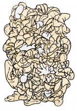 REDRAWN AND QUARTERED SERIES 2005-2007