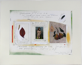 ROBERT PETERSEN 2012-2013 Photo transfer, postcard, leaf, powdered pigment, acrylic, graphite and tape on paper