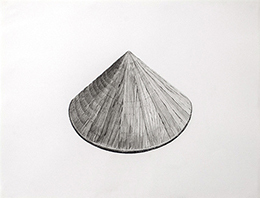ROBIN JOHNSON  Golden Hills graphite/paper