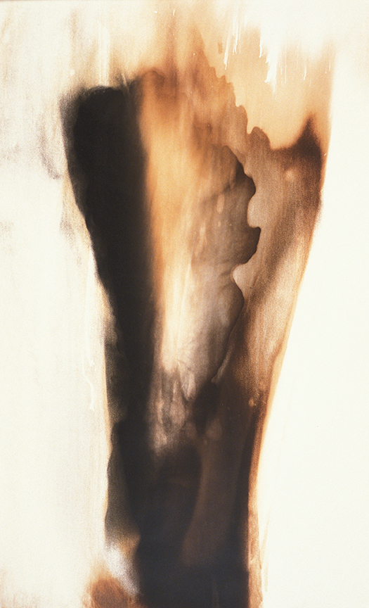 Rose Frisenda Photo Chemical Paintings selected 