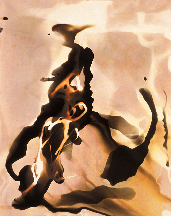Rose Frisenda Photo Chemical Paintings selected 