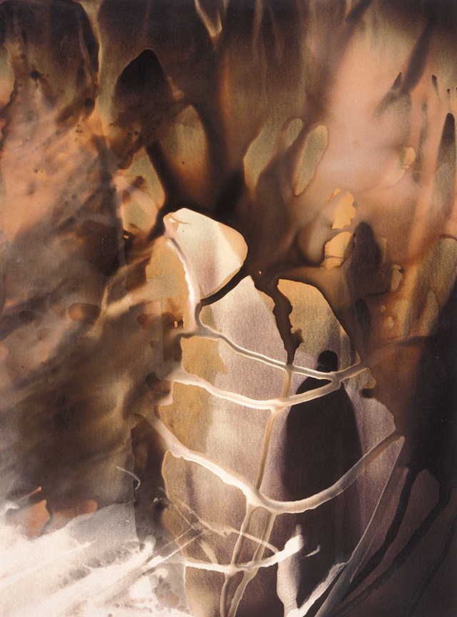 Rose Frisenda Photo Chemical Paintings selected 13.5"x10"