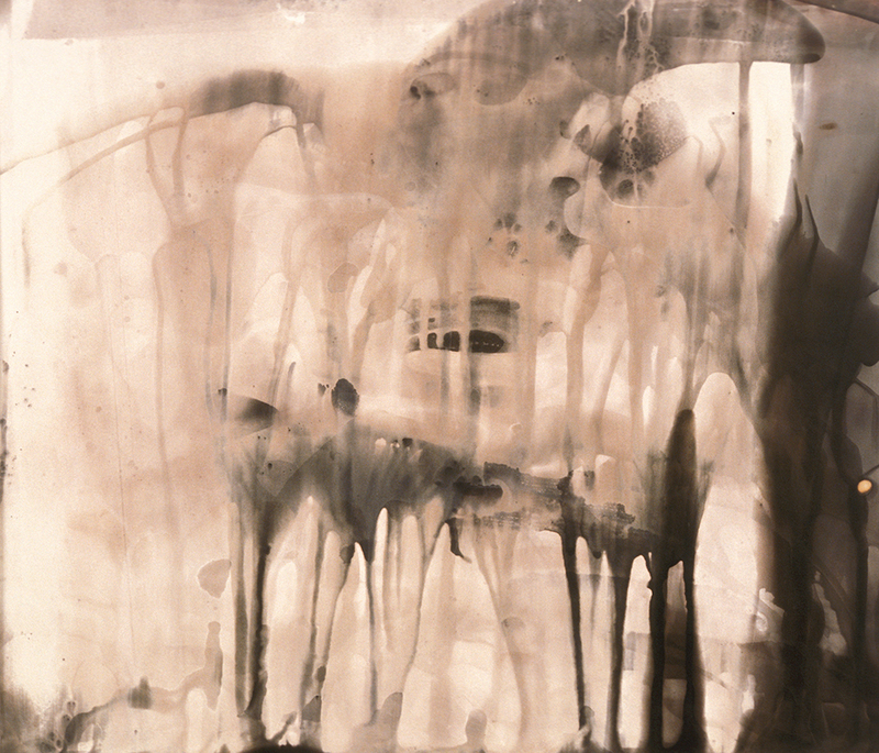 Rose Frisenda Photo Chemical Paintings selected 