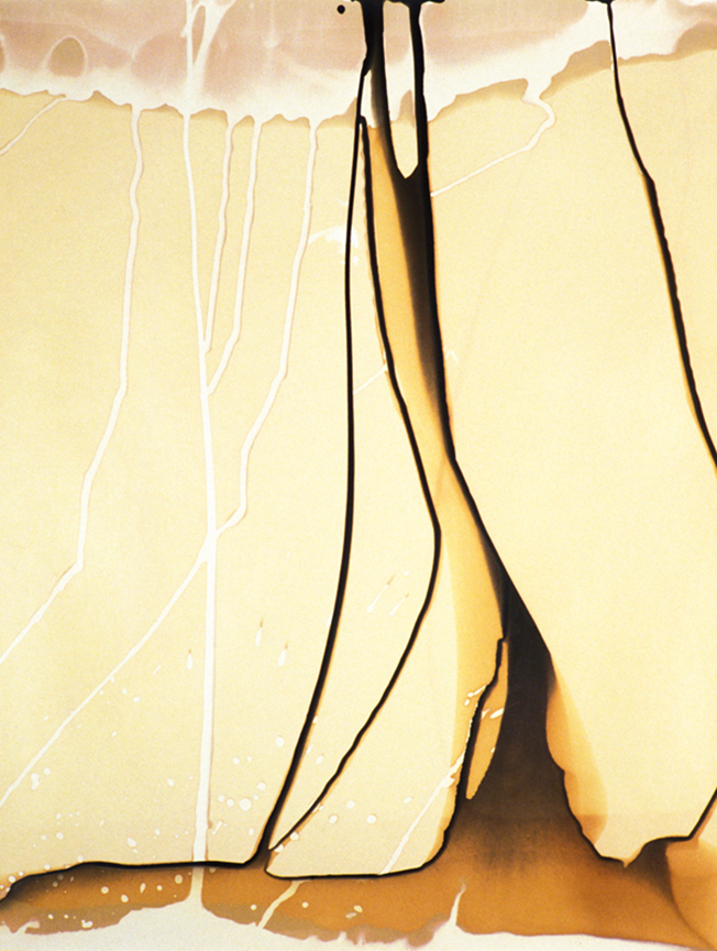 Rose Frisenda Photo Chemical Paintings selected 