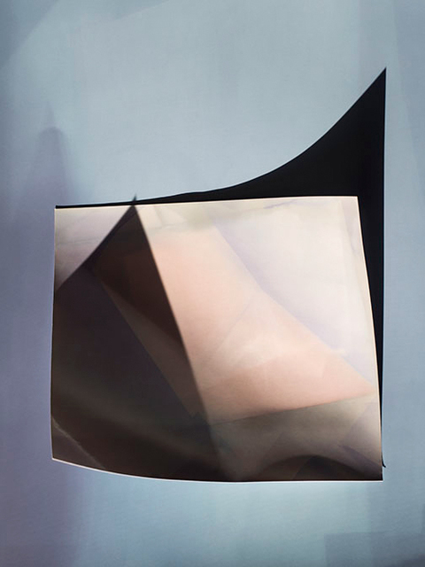 Rose Frisenda Silverlight selected Archival pigment print