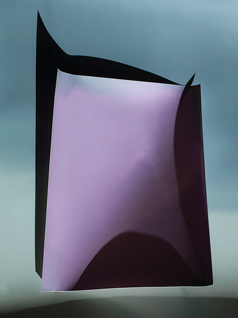Rose Frisenda Silverlight selected Archival pigment print
