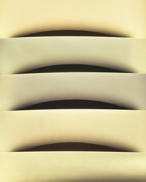 Rose Frisenda Silverlight selected Archival pigment print