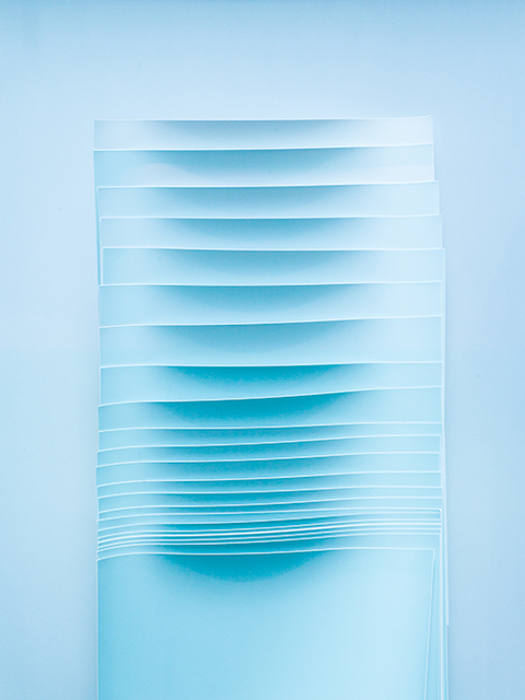 Rose Frisenda Silverlight selected Archival pigment print