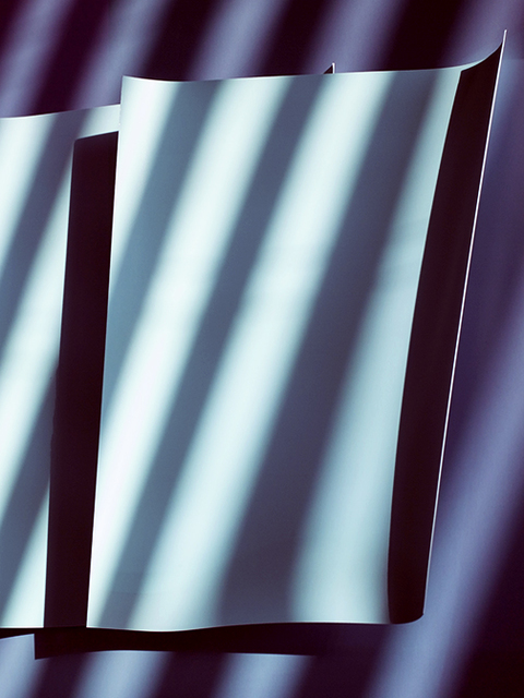 Rose Frisenda Silverlight selected Archival pigment print