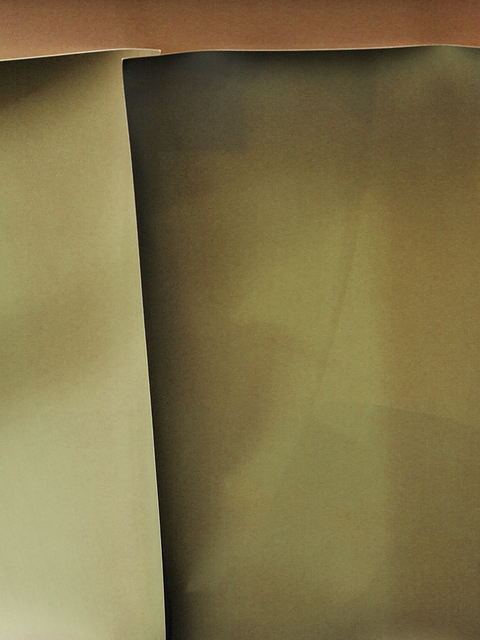 Rose Frisenda Silverlight selected Archival pigment print