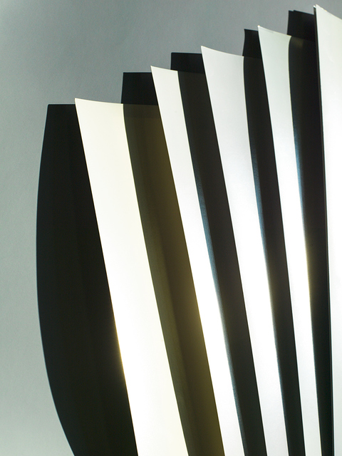 Rose Frisenda Silverlight selected Archival pigment print