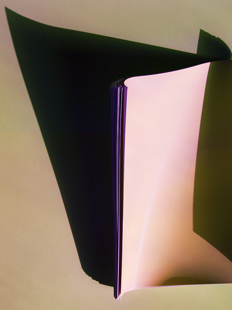 Rose Frisenda Silverlight selected Archival pigment print