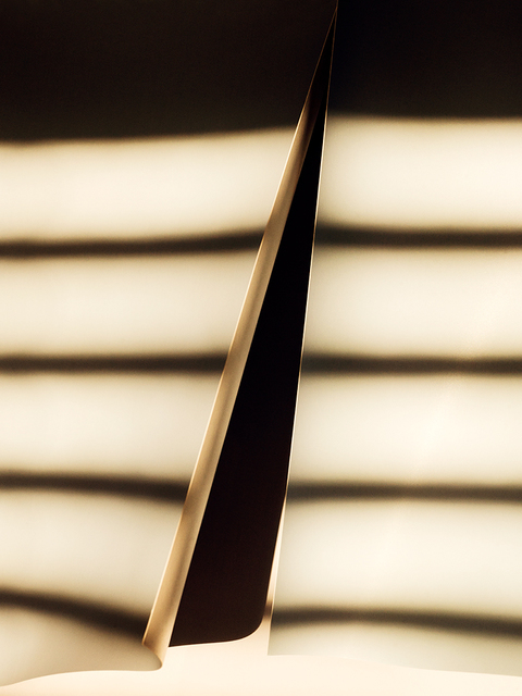 Rose Frisenda Silverlight selected Archival pigment print