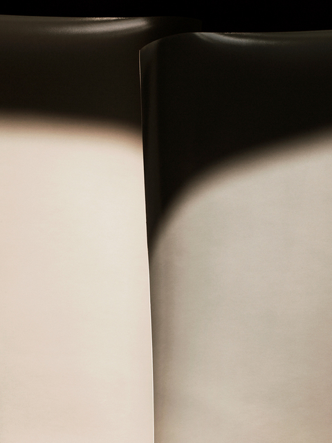 Rose Frisenda Silverlight selected Archival pigment print
