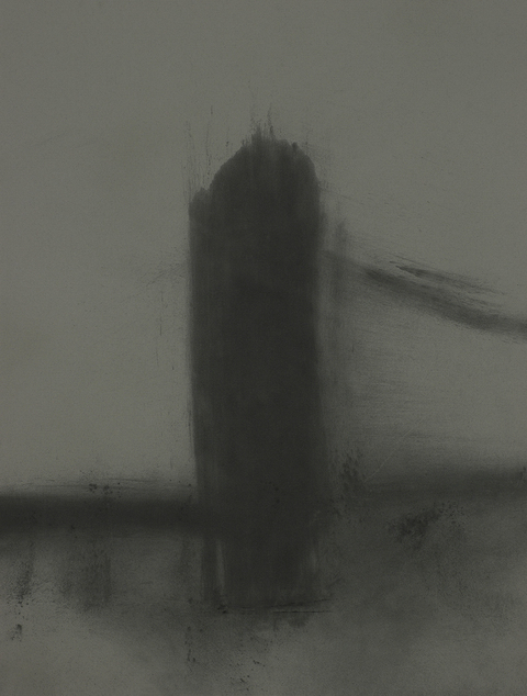 Rose Frisenda Charcoal Drawings 