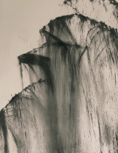 Rose Frisenda Charcoal Drawings 