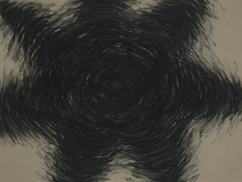 Rose Frisenda Charcoal Drawings 