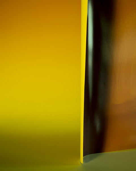 Rose Frisenda Silverlight selected Archival pigment print