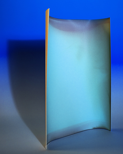 Rose Frisenda Silverlight selected Archival pigment print