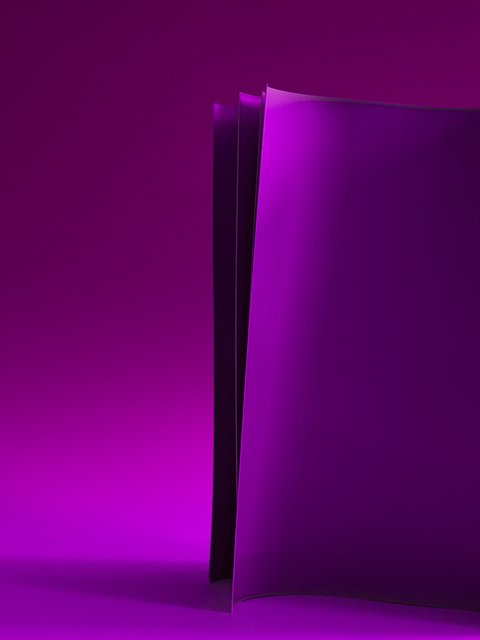 Rose Frisenda Silverlight selected Archival pigment print