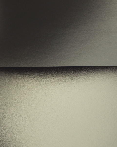 Rose Frisenda Silverlight selected Archival pigment print