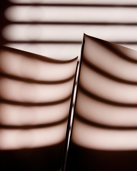 Rose Frisenda Silverlight selected Archival pigment print