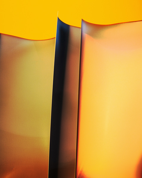 Rose Frisenda Silverlight selected Archival pigment print