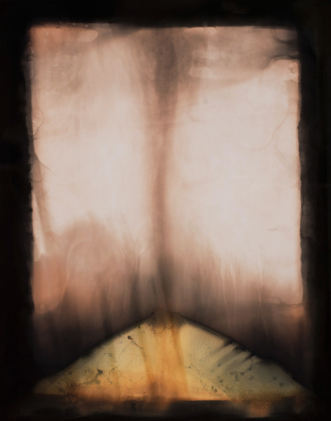 Rose Frisenda Photo Chemical Paintings selected Unique chemical painting