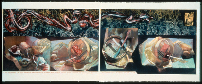 Rosemarie Bernardi Printmaking 1990's Multi-Plate Intaglio, Relief + Photo