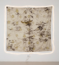 RYAN SARTIN Paintings Acrylic, soil, chalk dust, on cotton fabric with rope light