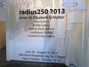 radius250 2013 Biennial Juried Regional Exhibition