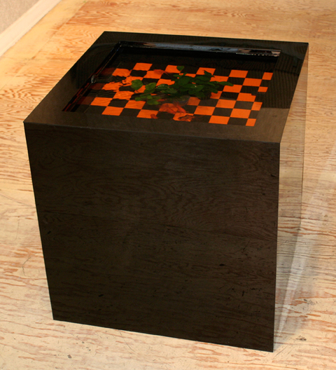 SALLY LELONG  Cube Ponds plexiglass pond with goldfish