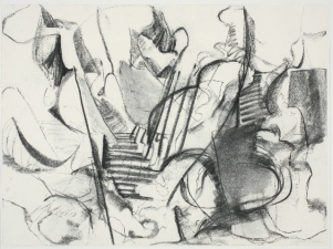 SANDRA K. MEAGHER <i>Conumble</i> Series charcoal on paper